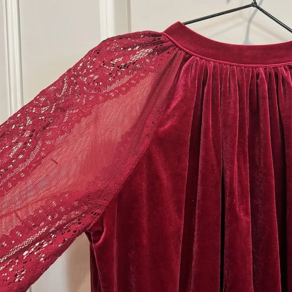 NWT Free People Raspberry Dream Team top, velvet with mesh sleeves & embroidery - Picture 6 of 10